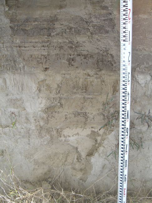  2006:09:14 02:51:16   AbandonedCh2a -fining upward packets of fine silty sand overlying interlaminated fine sand and mud.jpg